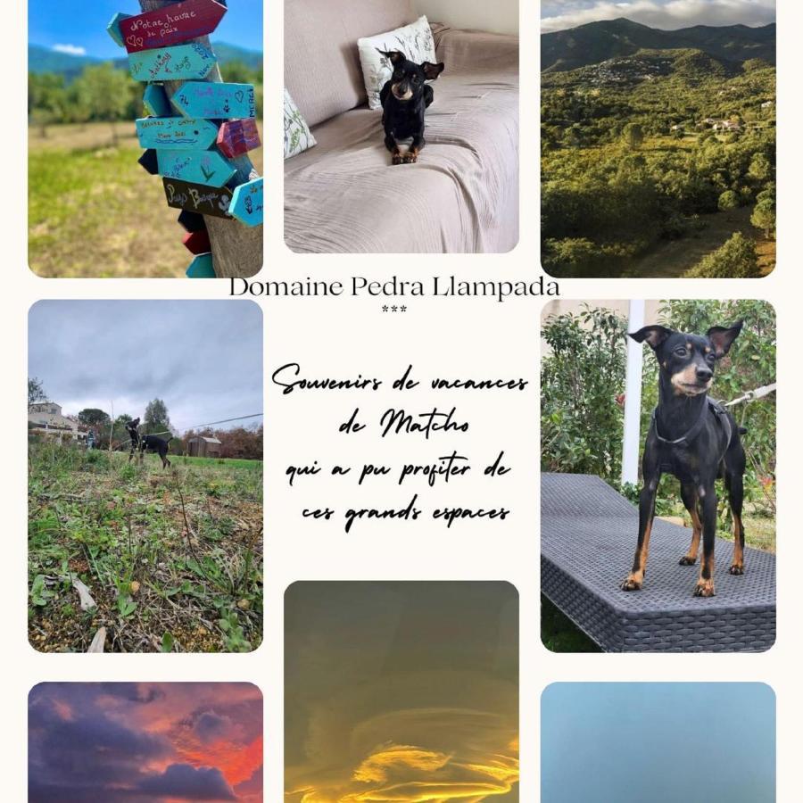 Domaine Pedra Llampada Gite Mer Villelongue-dels-Monts Exterior foto
